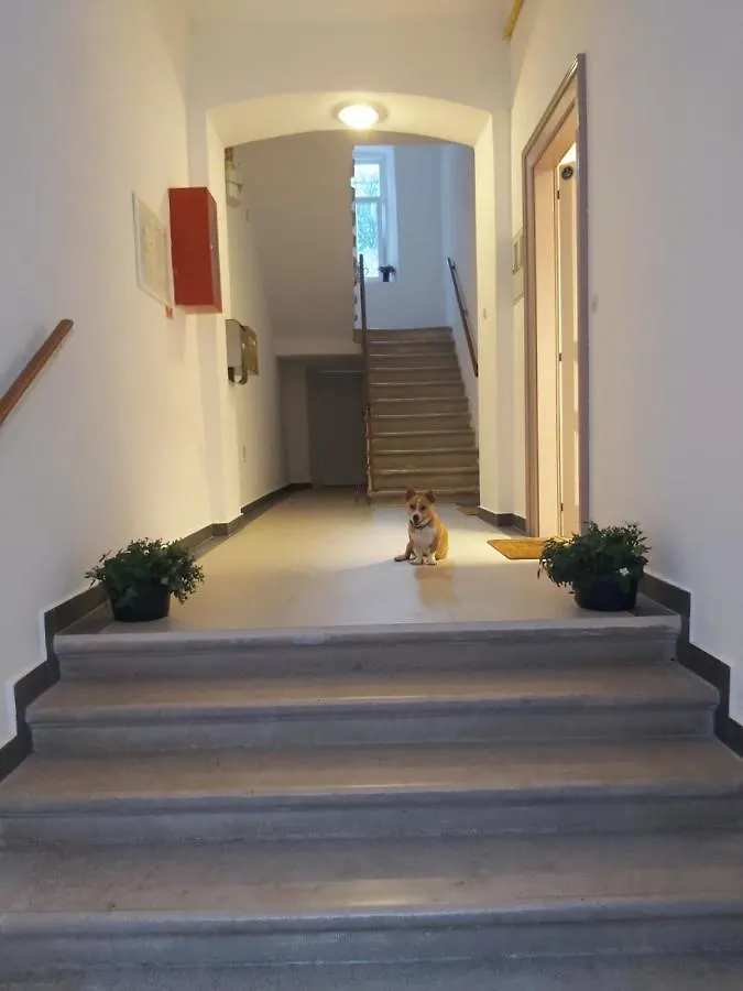 Apartman Draguc Pula 0*,